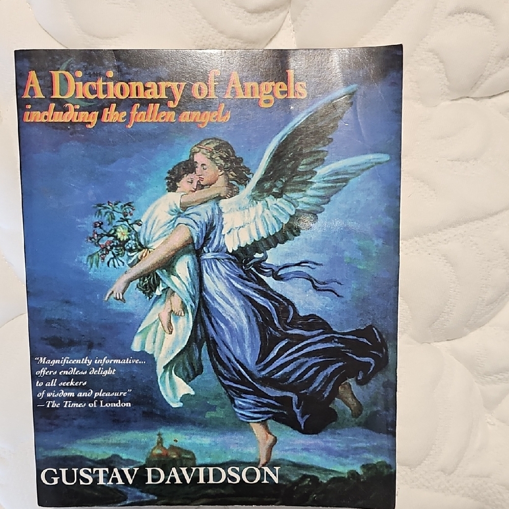 A Dictionary of Angels Book